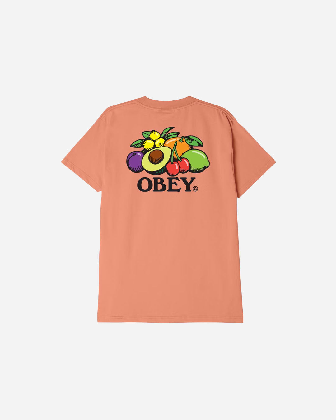 BOWL OF FRUIT TEE