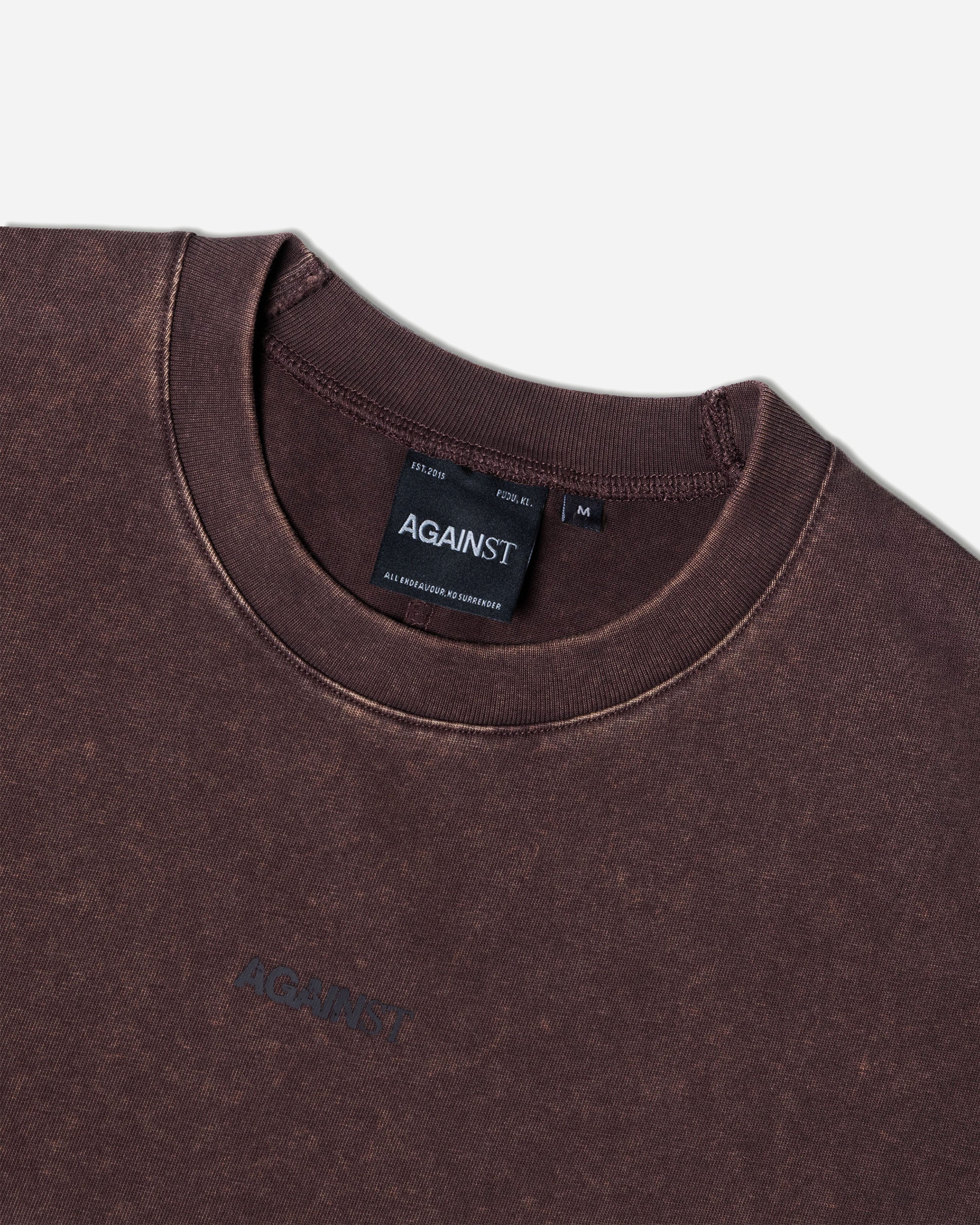 SINGLE STITCH WASHED CROPPED TEE BROWN